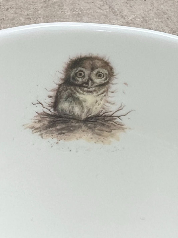 Eulen Tasse von Wrendale Designs