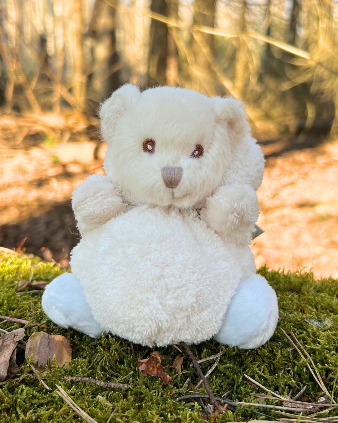 Teddybär Ziggy in hell blauem Hasen Kostüm von Bukowski.