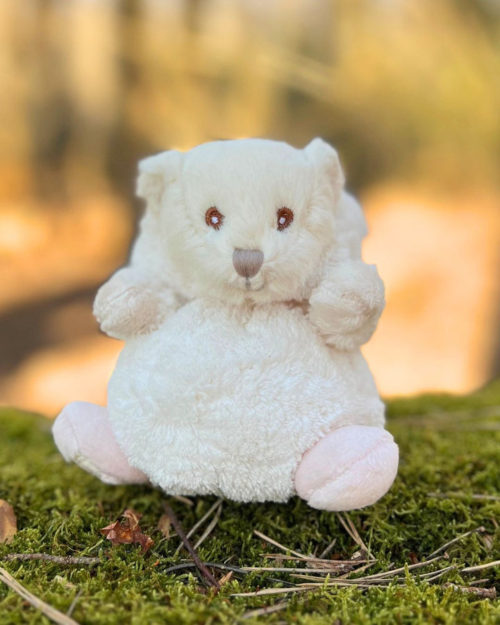 Teddybär Ziggy in hell pinken Hasen Kostüm von Bukowski.