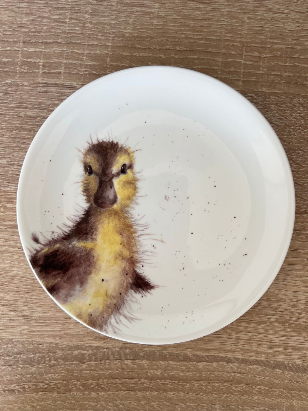 Teller Entenküken von Wrendale Designs