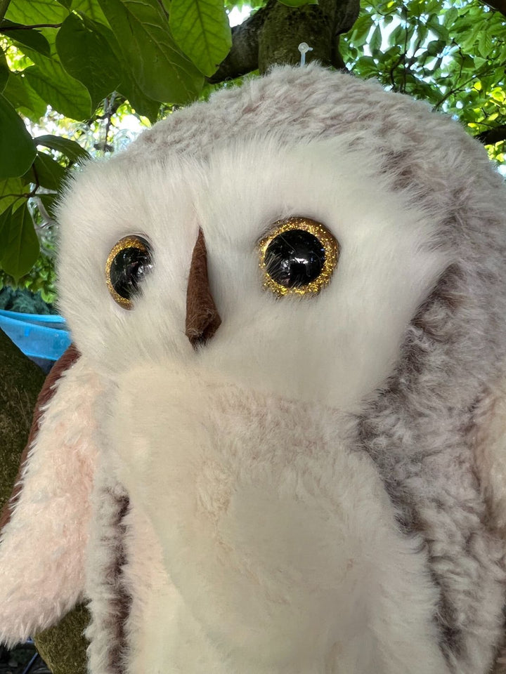 Eule The great Hoho Bukowski