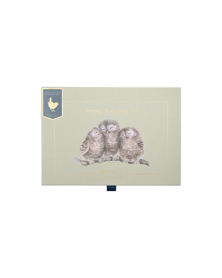 Geschlossene Geschenkbox des Wrendale Designs Schreibtisch-Sets in Grün mit Eulen-Illustration von Hannah Dale auf weißem Hintergrund.