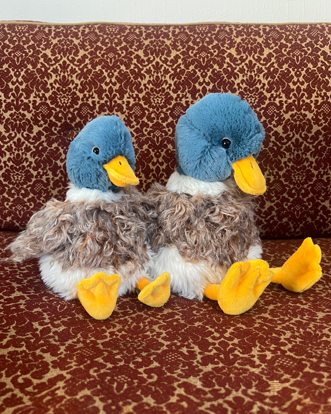 Zwei Webster Kuscheltier Enten in beiden Größen von Wrendale Designs.