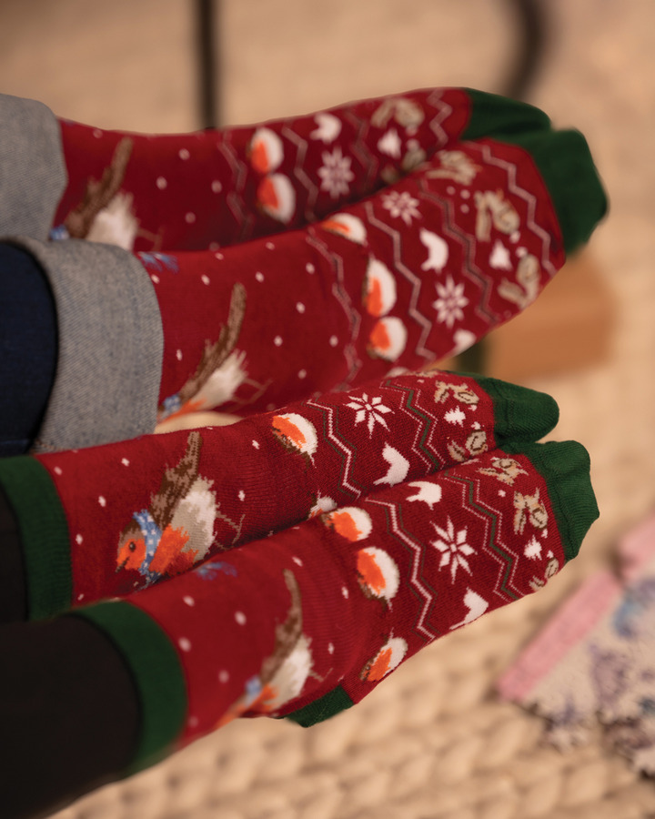 Weihnachtliche Familiensocken mit Rotkehlchen Motiven von Wrendale Designs.