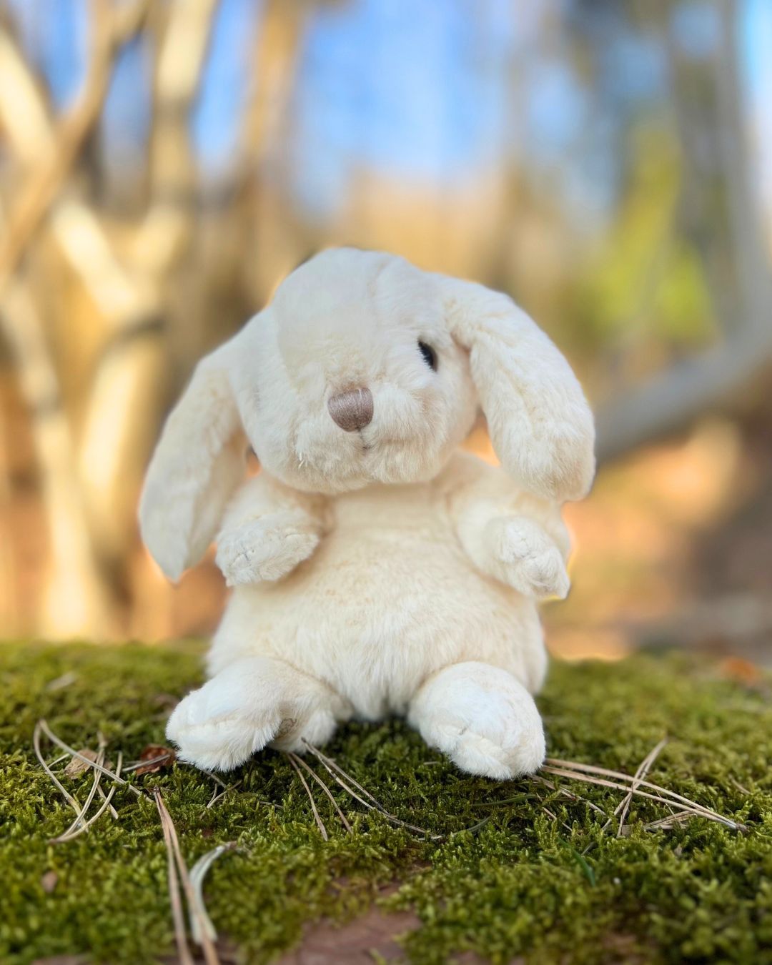 Weißes Kanini Kuscheltier von Bukowski für Kinder im Wald.