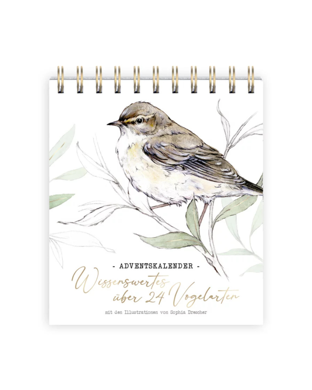 Adventskalender „Wissenswertes über 24 Vogelarten“ vom Grätz Verlag mit Vogelillustration von Sophia Drescher
