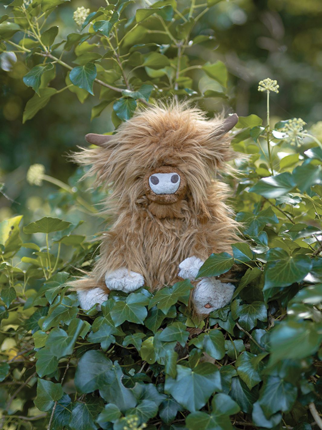 Kuscheltier Gordon die schottische Highland Cow von Wrendale Designs.