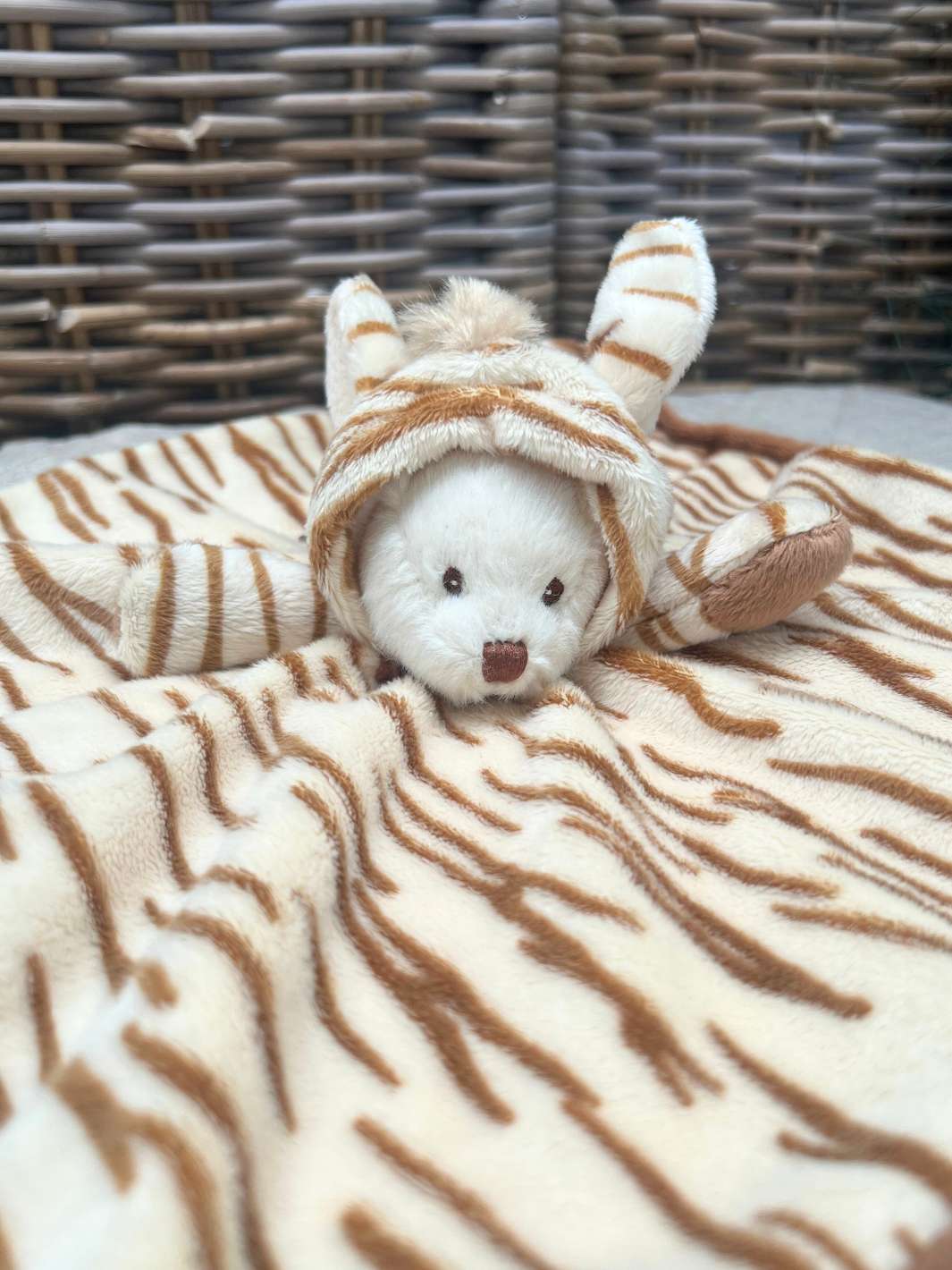 Zebra Ziggy Schnuffeluch von Bukowski