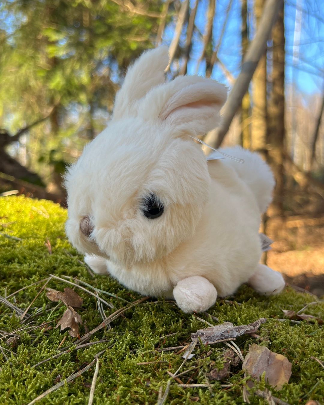 Zeus das weiße Hasen Kuscheltier von Bukowski sitzt auf einem Baumstamm.