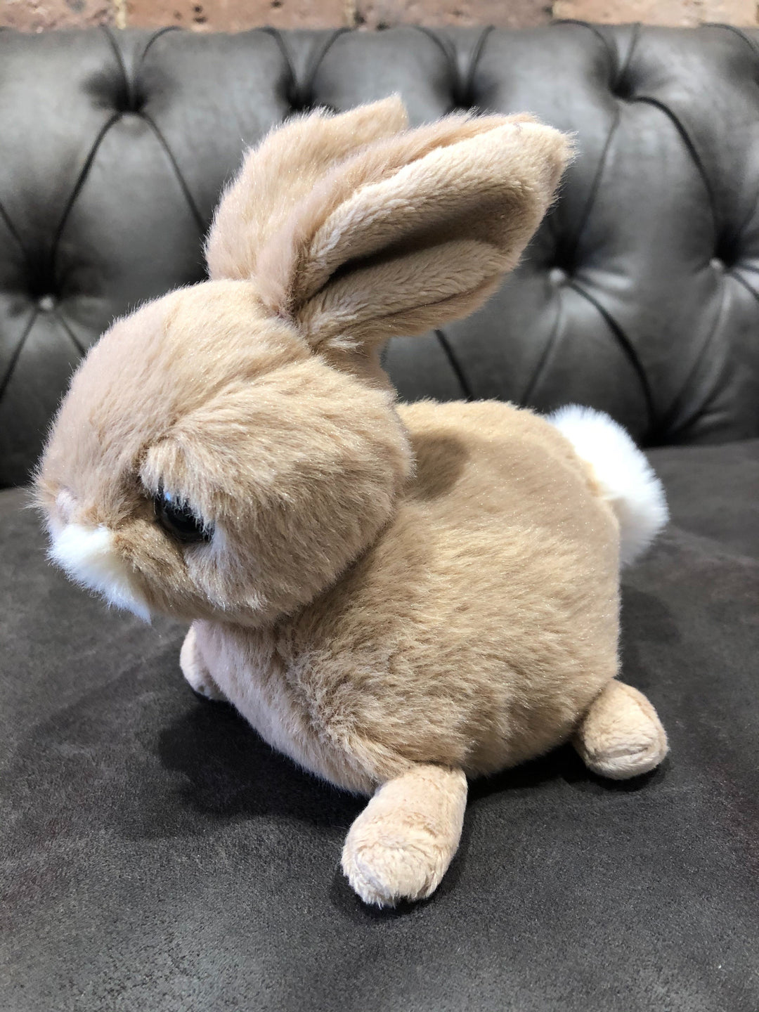 Braunes Hasen Kuscheltier Hera on Bukowski.