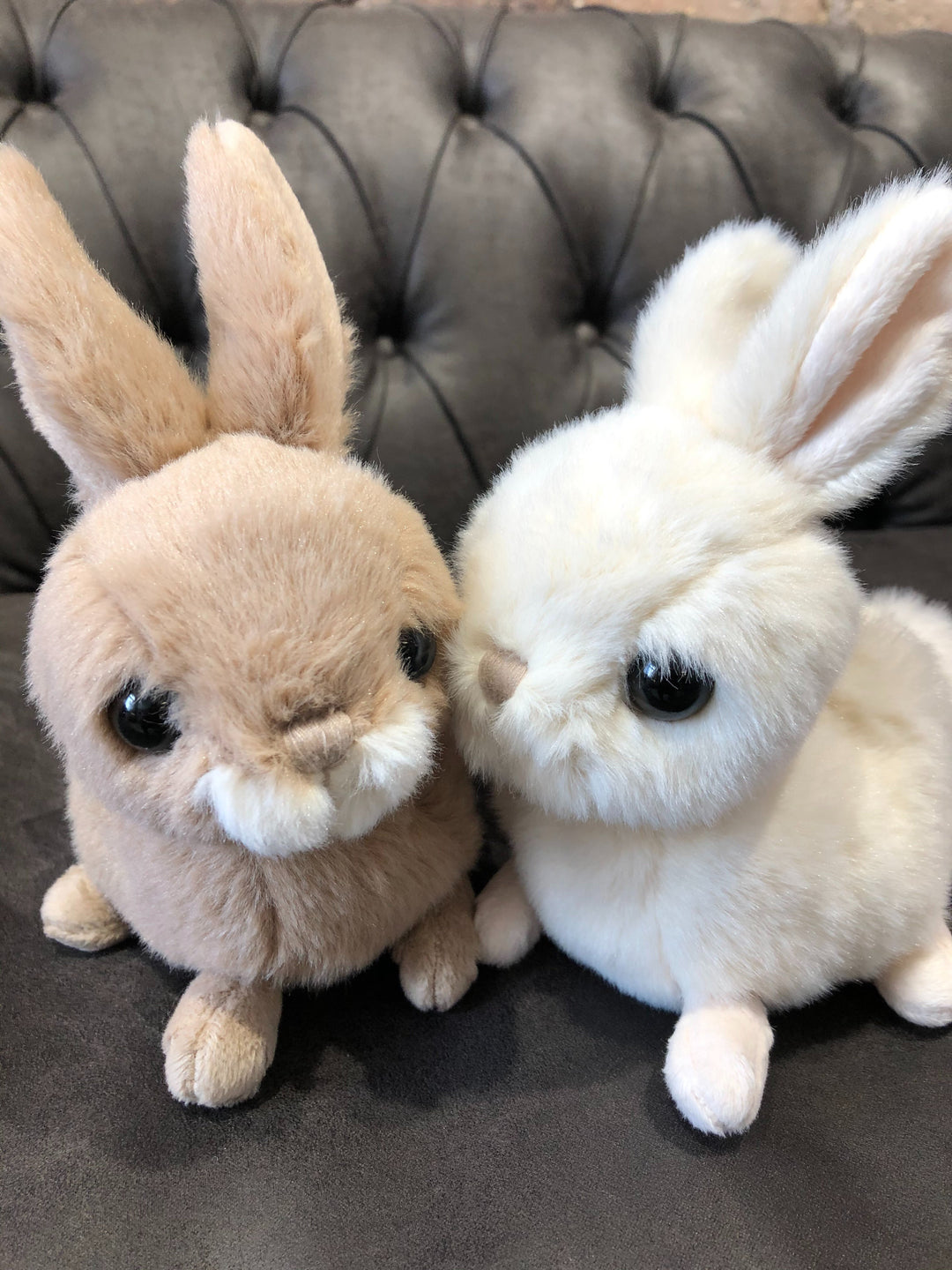 Hera und Zeus die weichen Hasen Kuscheltiere von Bukowski.