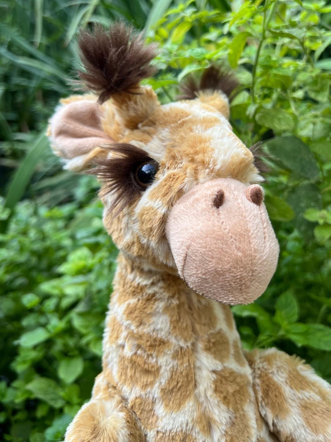 Nahaufnahme des Wrendale Designs Giraffen Kuscheltier Kopfes.