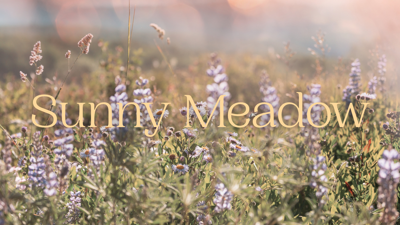 Sunny Meadow Blumenwiesen Kollektion