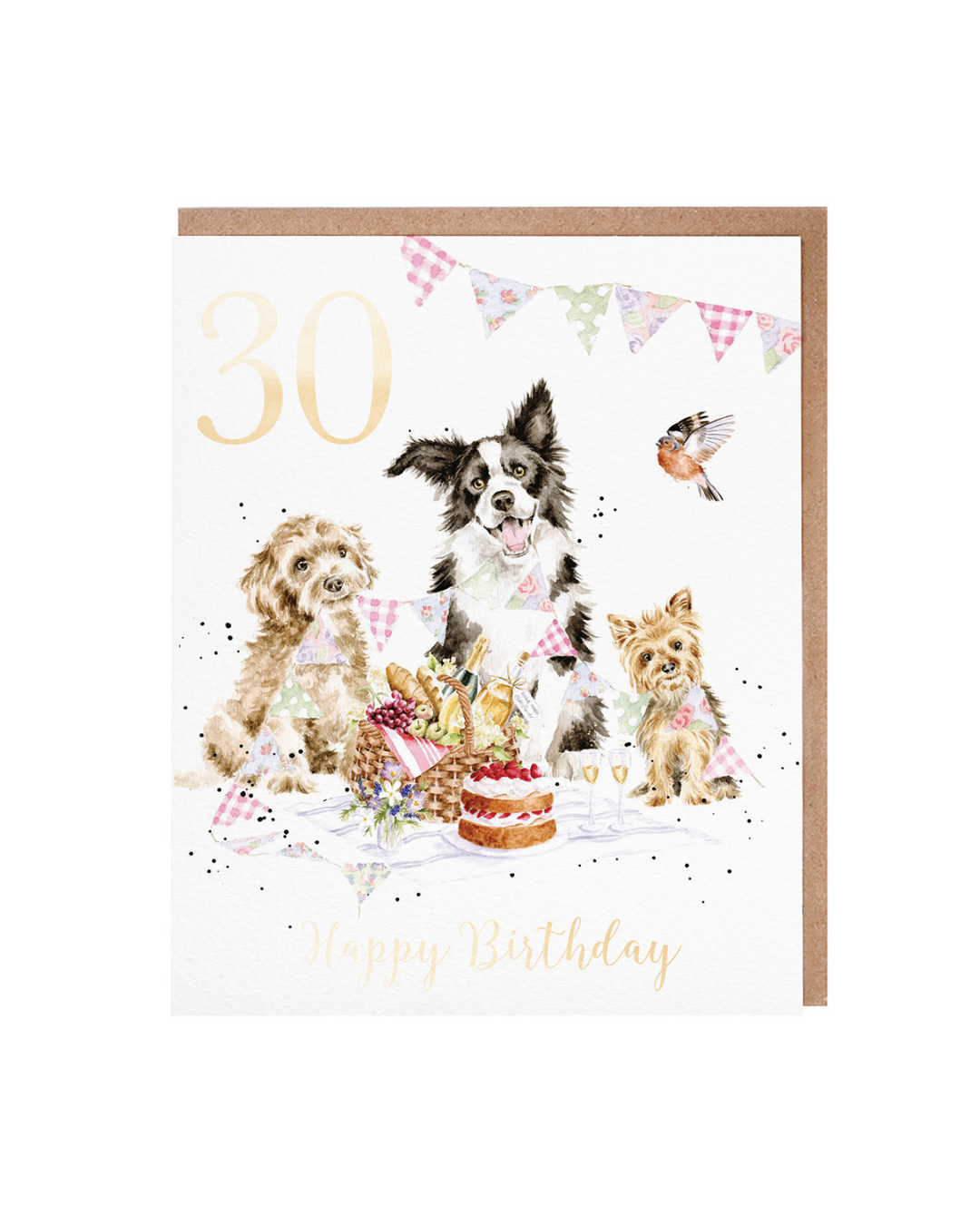 Geburtstagskarte "30th Birthday Pawty" von Wrendale Designs
