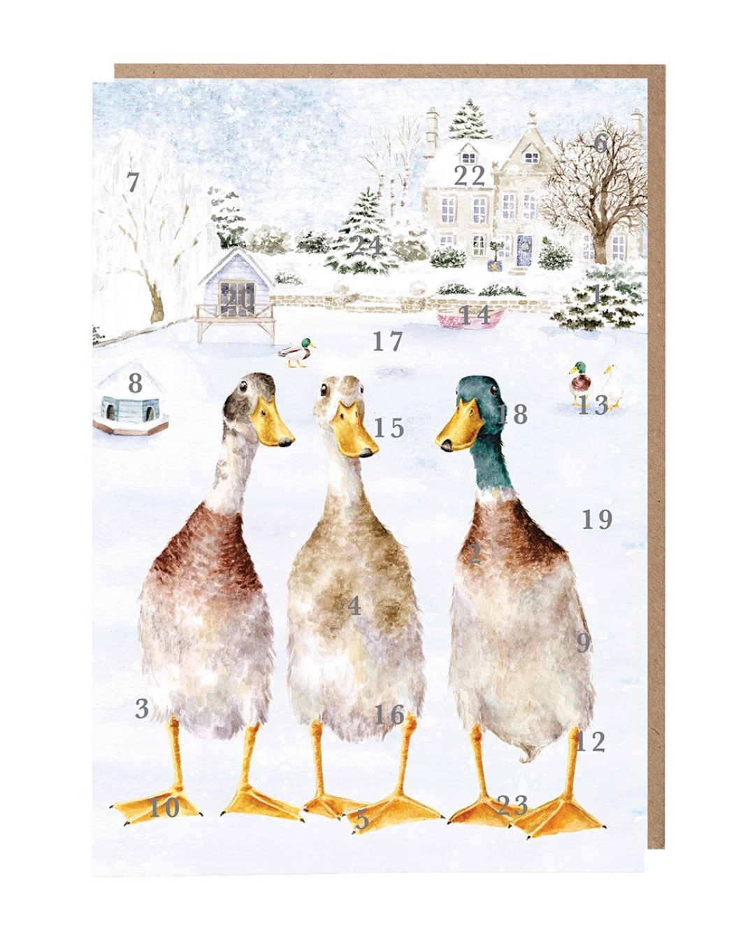 Adventkalenderkarte "Christmas on the Pond DINA4" von Wrendale Designs vor weißen Hintergrund. Das Motiv zeigt 3 Enten in unterschiedlichen Farben vor einer verschneiten Nachbarschaft.
