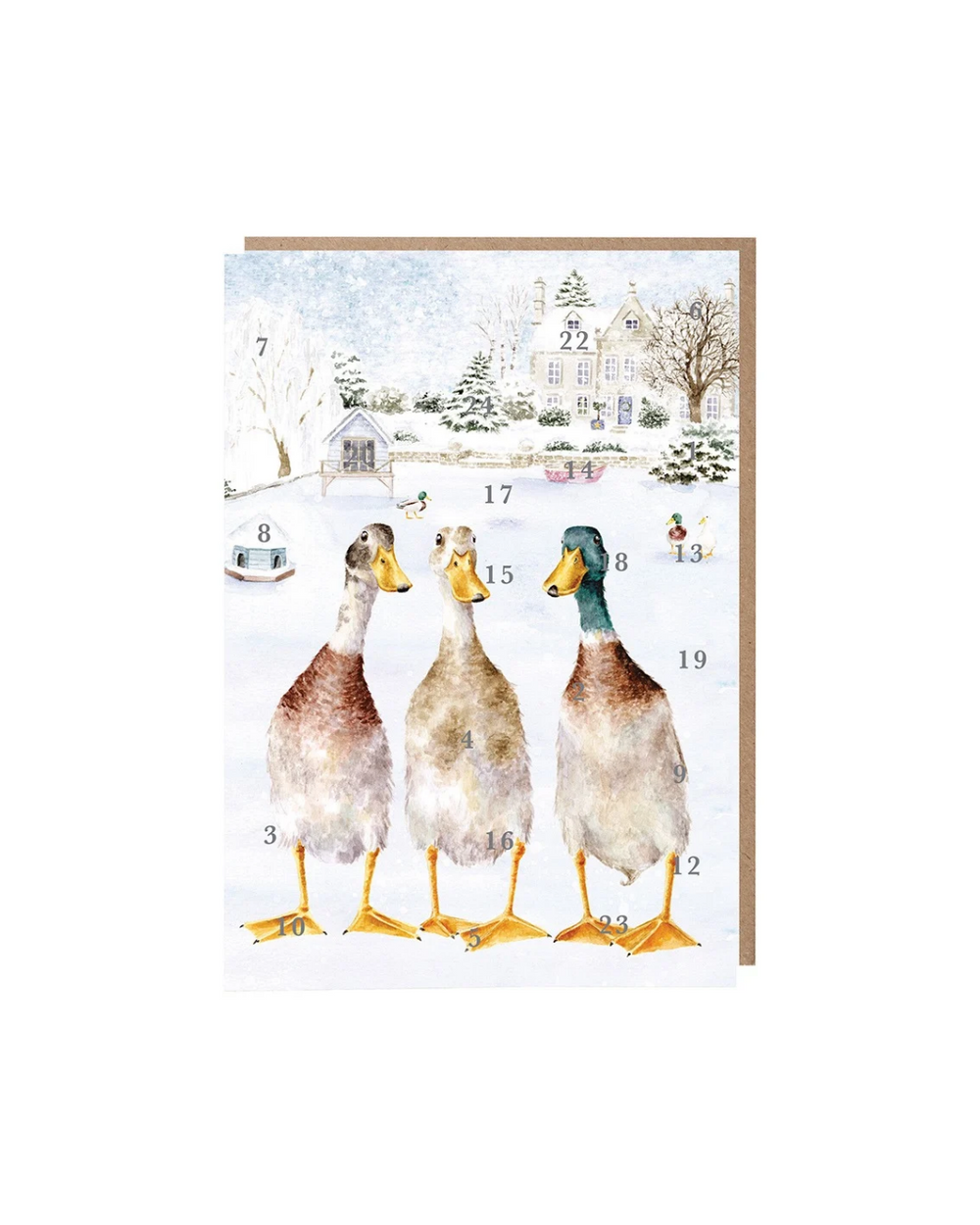 Adventkalenderkarte "Christmas on the Pond DINA5" von Wrendale Designs vor weißen Hintergrund. Das Motiv zeigt 3 Enten in unterschiedlichen Farben vor einer verschneiten Nachbarschaft.