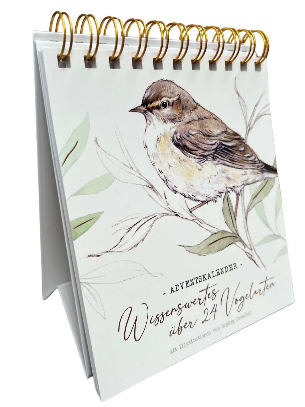 Advents Aufstellkalender über 24 Vogelarten vom Grätz Verlag