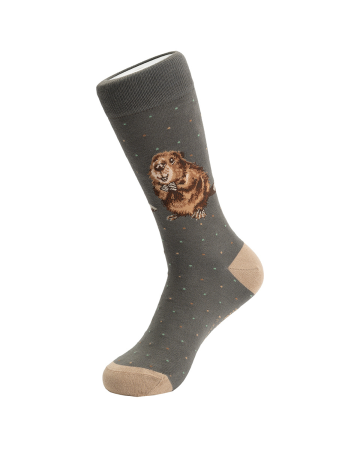 Biber Männersocken „Chester“ von Wrendale Designs komplett dargestellt