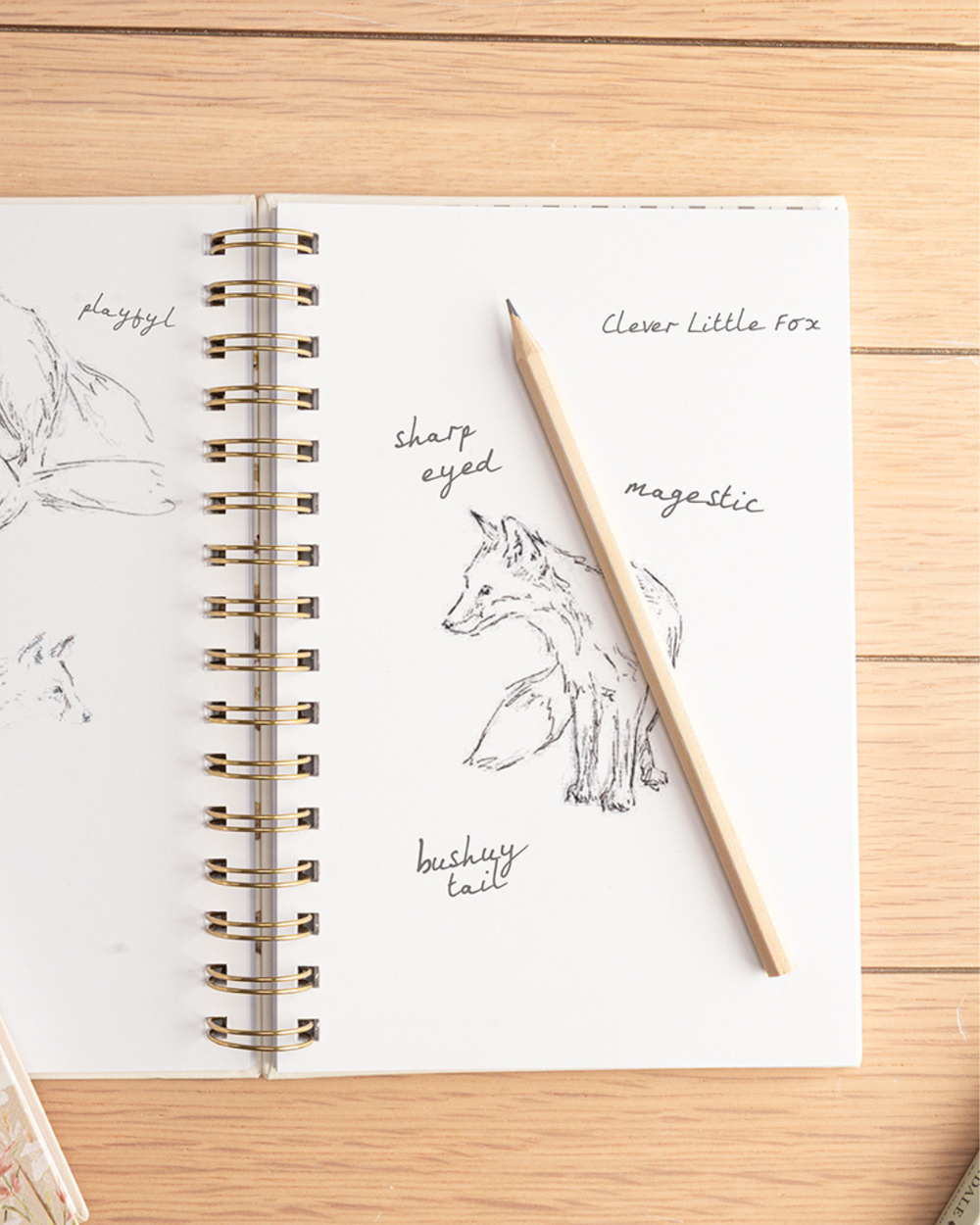 Aufgeschlagenes A5-Notizbuch von Wrendale Designs mit blanko Seiten. Auf der rechten Seite ist eine feine Fuchs-Skizze mit handschriftlichen Beschriftungen zu sehen, daneben liegt ein Holzbleistift.