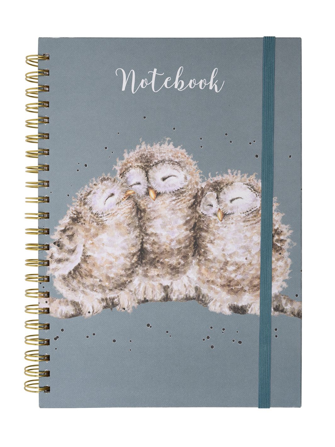 Blaues Notizbuch mit Eulen-Motiv von Wrendale Designs