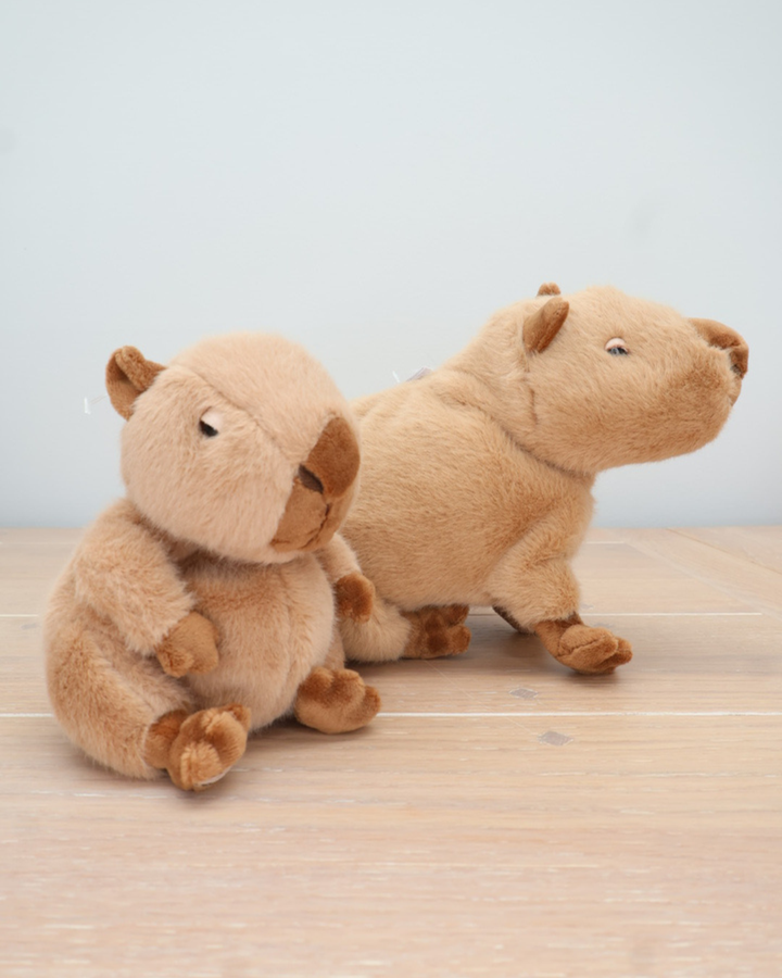 Zwei Capybaras von Bukowski sitzen auf einem hellen Holzboden. Ein Capybara schaut nach oben, das andere nach vorne.