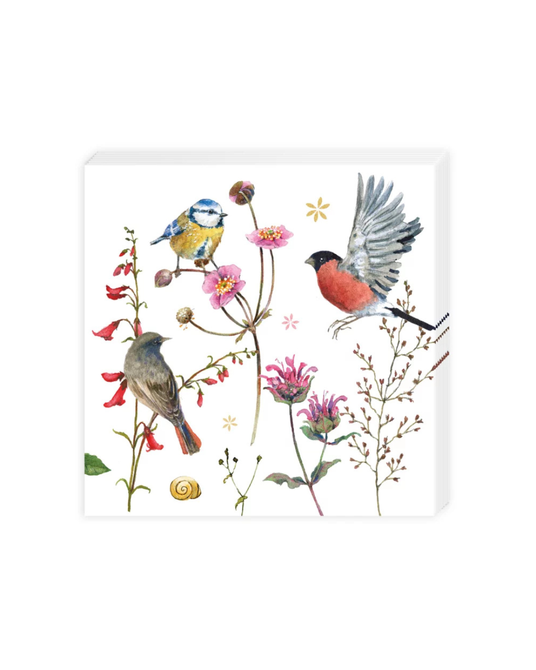 Cocktailservietten „Zeit für Harmonie“ vom Grätz Verlag mit Vogelillustrationen, Blüten und feinen Naturdetails, frontal dargestellt auf weißem Hintergrund.