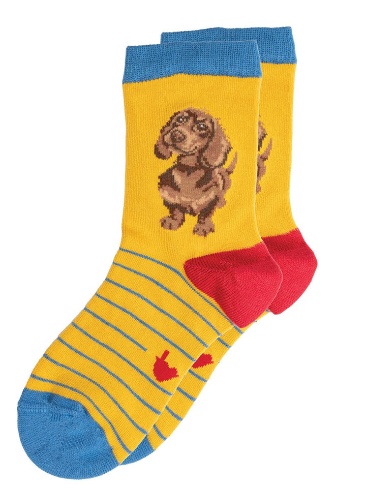 Bunte Dackel Socken für Kinder von Wrendale Designs