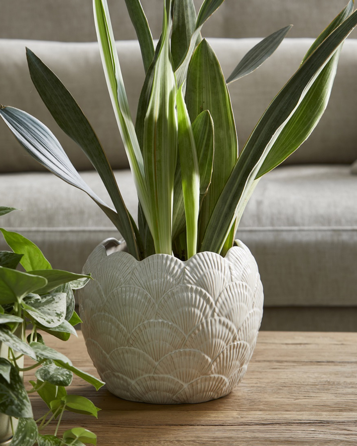 Blumentopf mit Muschelmuster von Rivièra Maison, auf Couchtisch mit grünen Pflanzen im Wohnzimmer.