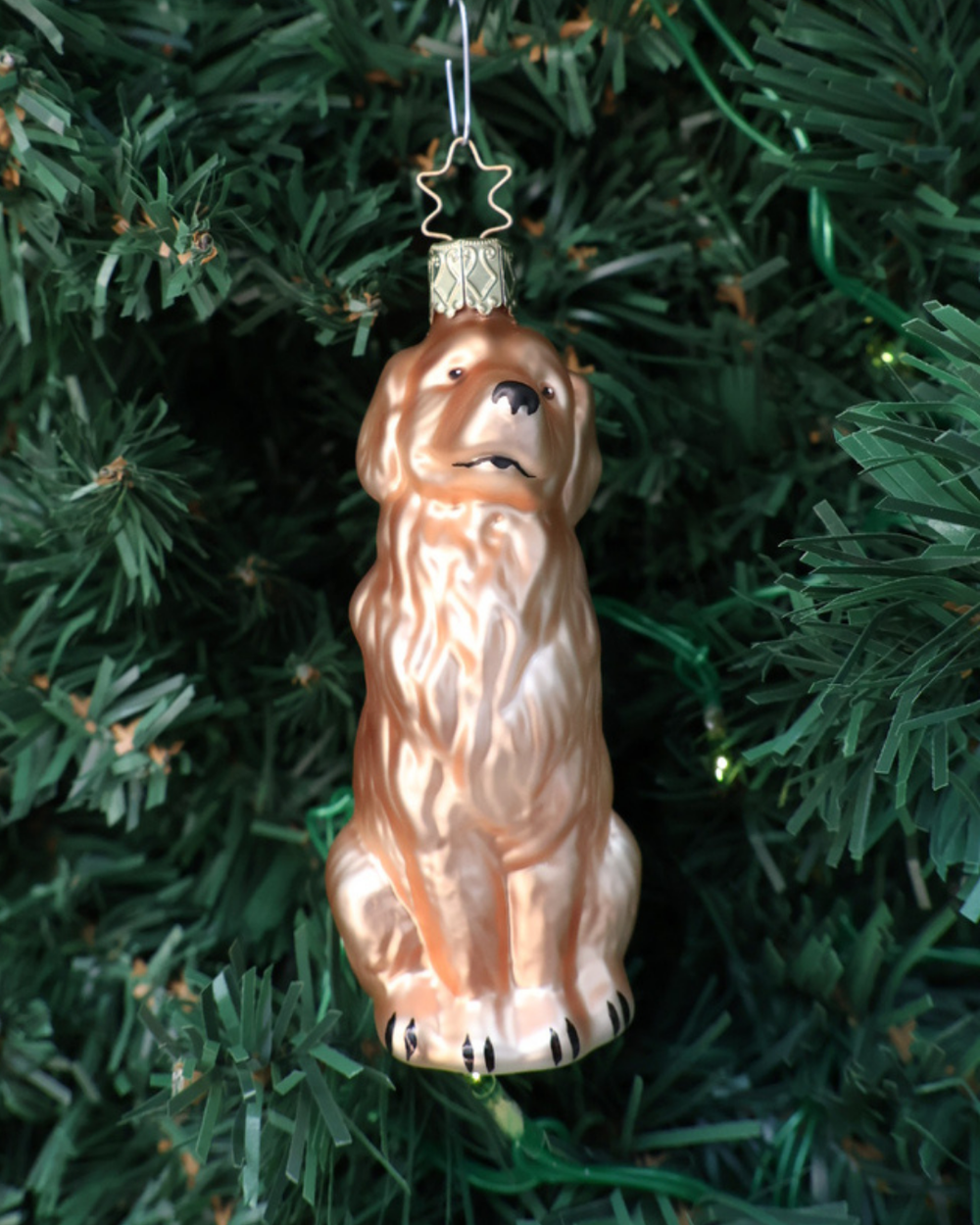 Der handgefertigte golden Retriever Weihnachtsbaumschmuck von Inge Glas mit gold-braunem Fell ist sitzend dargestellt. Hier angebracht in einem grünen Tannenbaum.
