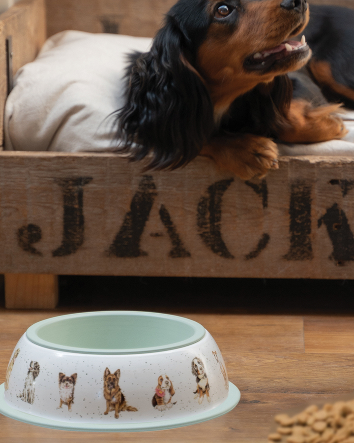Hundnapf von Wrendale Designs mit Hundemotiven, platziert vor einem Holzkasten mit der Aufschrift „JACK“. Ein Hund liegt auf dem Kasten.