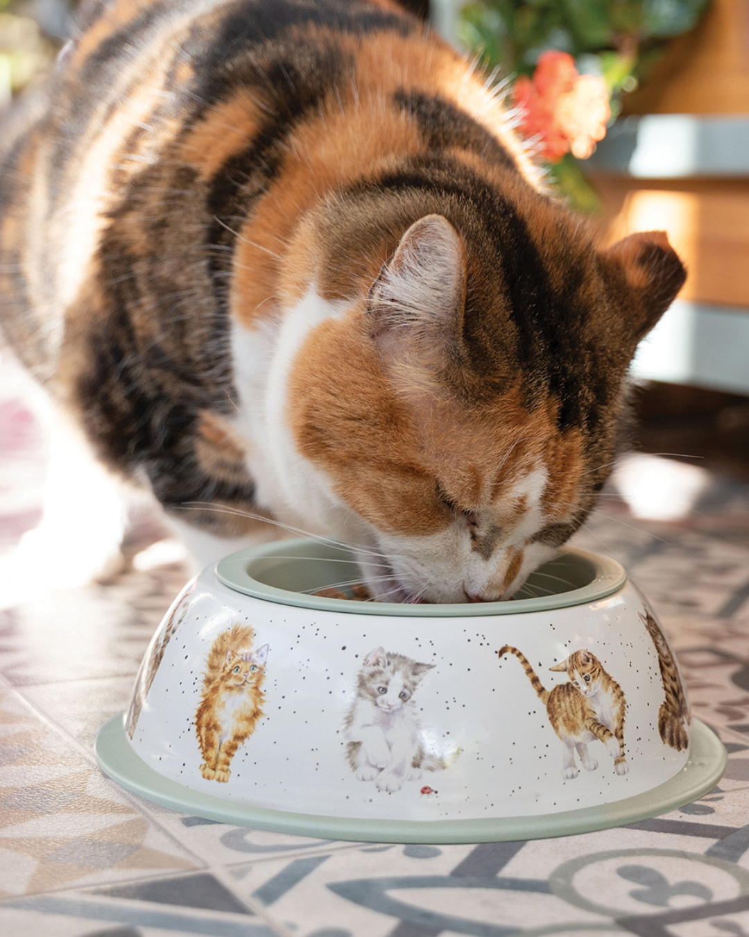 Katzennapf von Wrendale Designs mit Katzenmotiven, eine Katze frisst daraus. Der Napf steht auf einem gefliesten Boden.