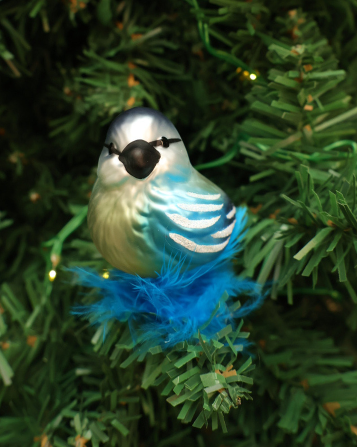 Dekorierter Vogel Weihnachtsbaumschmuck "Blaumeise" zum Klemmen von Inge Glas hängt an Tannenbaum. Zu sehen ist eine glänzende Blaumeise welche in die Kamera schaut.