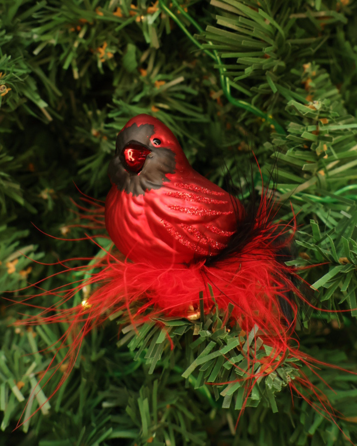 Vogel zum Klemmen "Roter Kardinal" von Inge Glas
