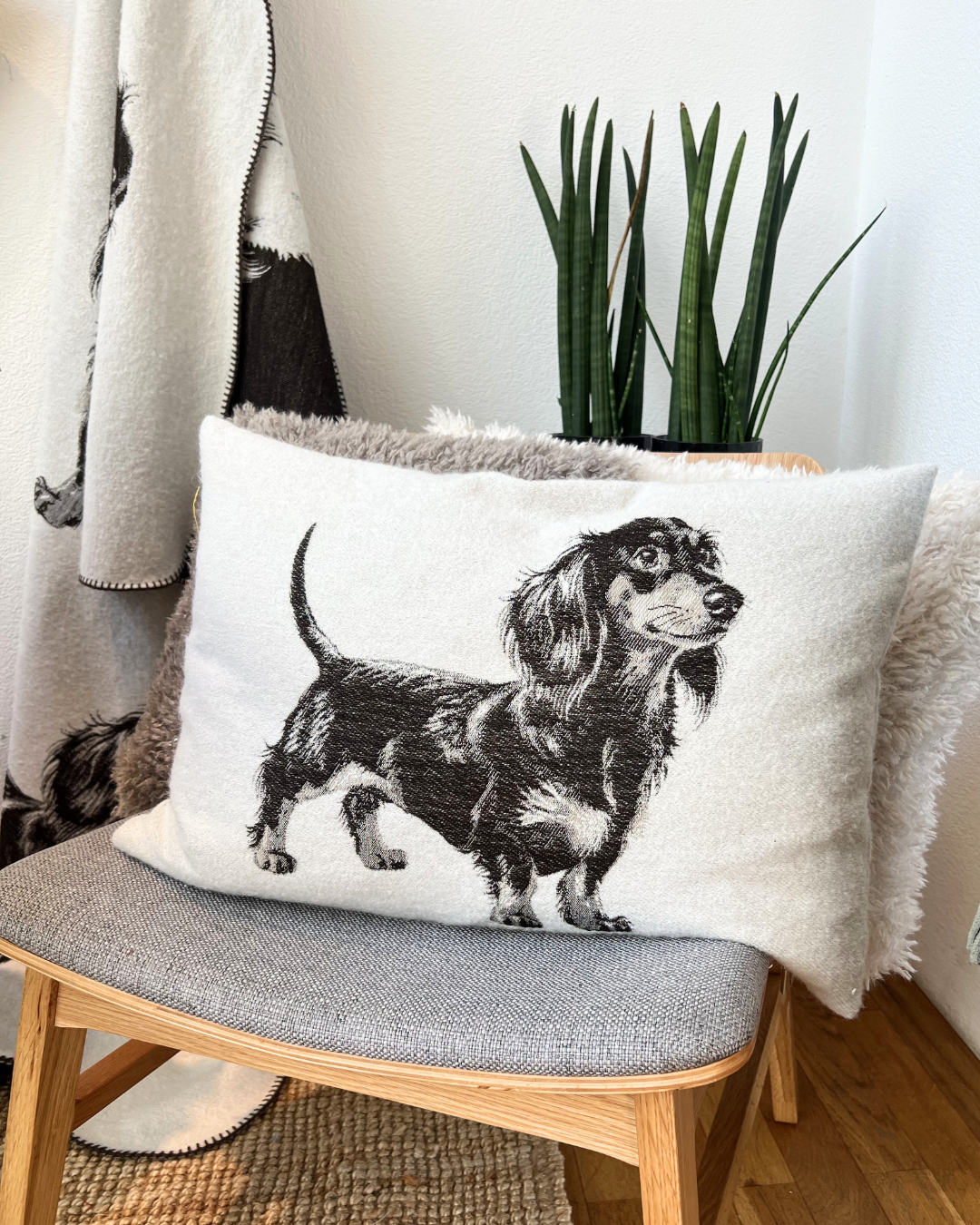 Das Dackel-Kissen "Birillo 40x60" von Sander ist auf einem Stuhl mit weiteren Kissen dekoriert.