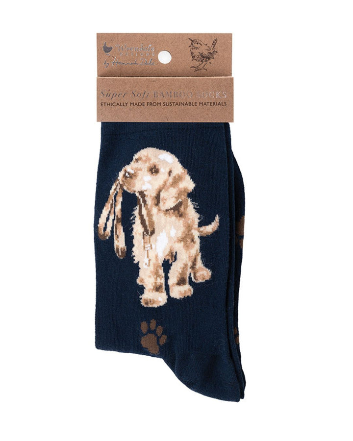 Dunkelblaue Hunde Socken aus Bambus von Wrendale Designs.