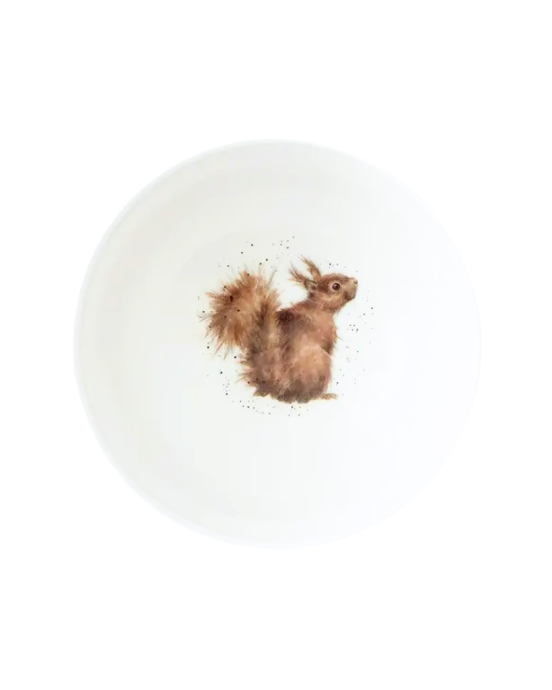 Eichhörnchen Bowl "Royal Worchester" von Wrendale Designs vor weißen Hintergrund. Der Teller selbst ist weiß. Das Motiv zeigt ein Eichhörnchen welches neugierig nach hinten in die Kamera schaut.