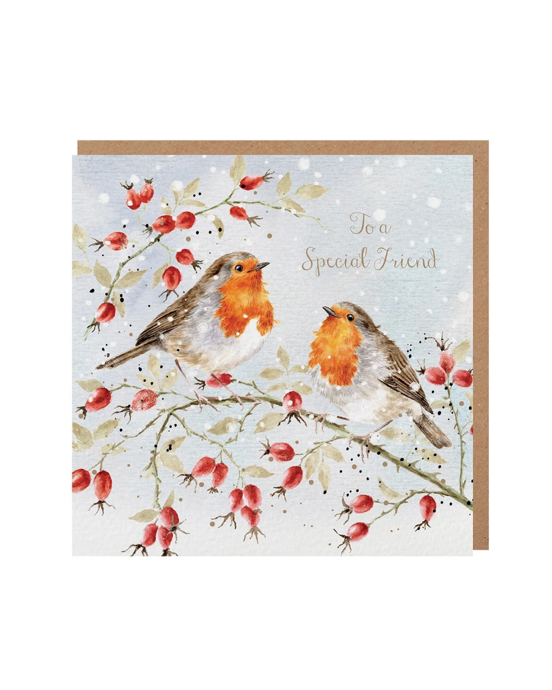 Weihnachtliche Rotkehlchen Doppelkarte "Feathers and Friendship" von Wrendale Designs