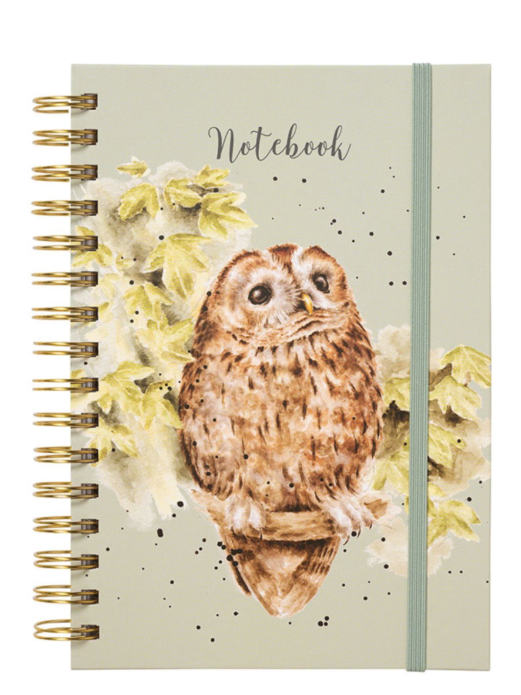 Eulen Notizbuch von Wrendale Designs