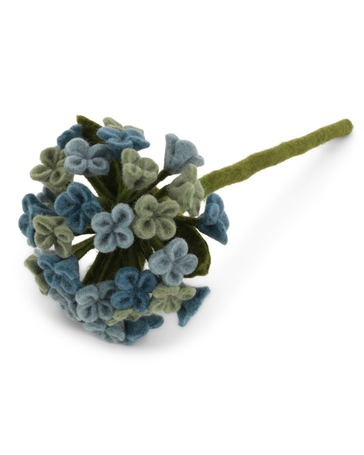 Blaue Filzblumen-Hortensie mit grünen Blättern und Stiel auf hellem Hintergrund