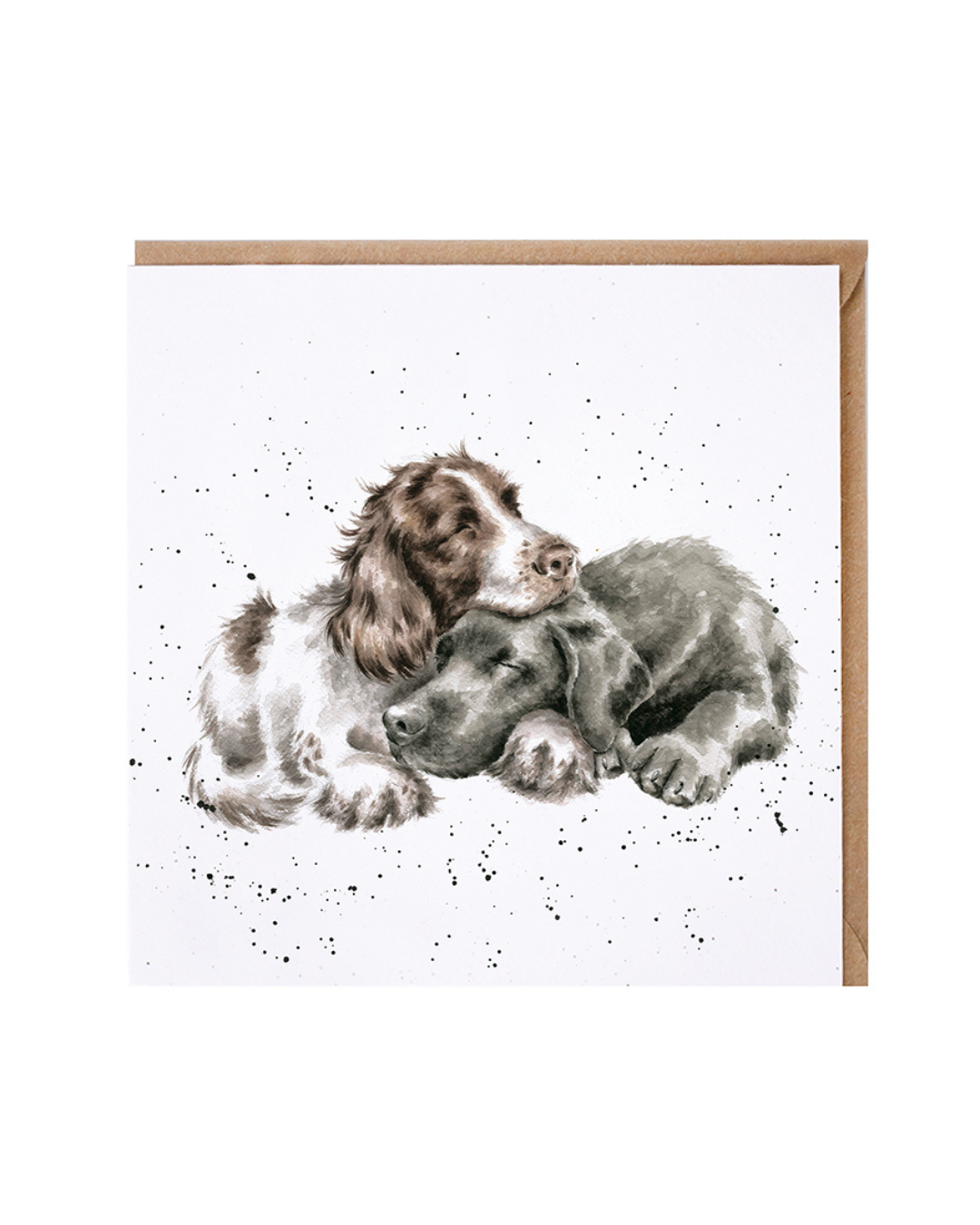 Hunde Grußkarte "Growing Old Together" von Wrendale Designs vor weißen Hintergrund. Das Motiv zeigt zwei kuschelnde Hunde, einen Labrador und einen Spaniel, vor einem weißen Hintergrund mit schwarzen Pünktchen. 