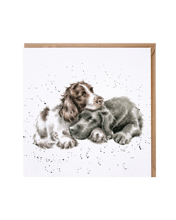 Hunde Grußkarte "Growing Old Together" von Wrendale Designs vor weißen Hintergrund. Das Motiv zeigt zwei kuschelnde Hunde, einen Labrador und einen Spaniel, vor einem weißen Hintergrund mit schwarzen Pünktchen. 