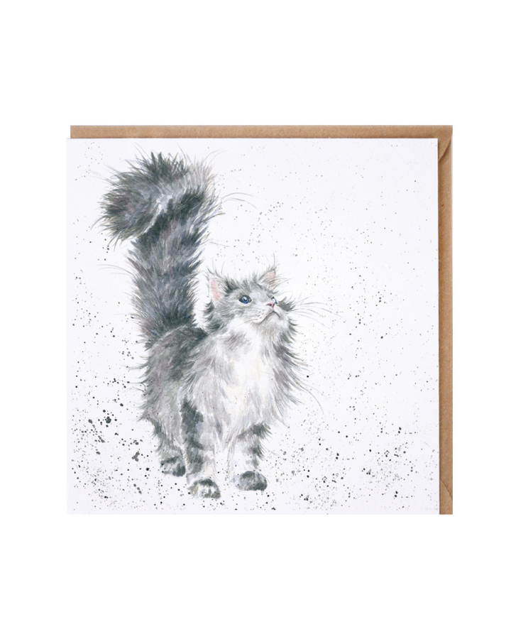 Katzen Grußkarte "Lady of the House" von Wrendale Designs vor weißen Hintergrund. Das Motiv zeigt eine kleine graue Katze welche in den Himmel guckt vor weißen Hintergrund mit schwarzen Pünktchen.