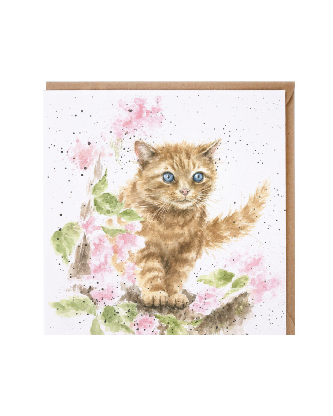 Katzen Grußkarte "Katze mit Blume" von Wrendale Designs vor weißen Hintergrund Das Motiv zeigt eine orange Katze mit blauen Augen wie sie auf einem Holzweg an rosa Blumen vorbei geht. 