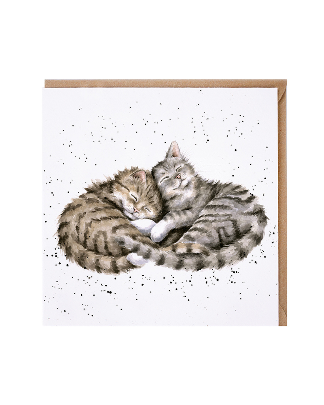 Katzen Grußkarte "Sweet Dreams" von Wrendale Designs vor weißen Hintergrund. Das Motiv zeigt 2 kuschelnde Babykatzen vor einem weißen Hintergrund mit schwarzen Pünktchen.