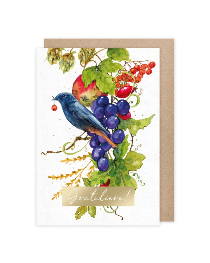 Vogel Grußkarte "Auf Trauben" von Grätz Verlag vor weißen Hintergrund. Das Motiv ist sehr farbenfroh gestaltet und zeigt Trauben, Äpfel und andere Essbare Pflanzen mit Blättern auf denen ein blauer Vogel sitzt. Die Farben sind alle sehr kräftig.