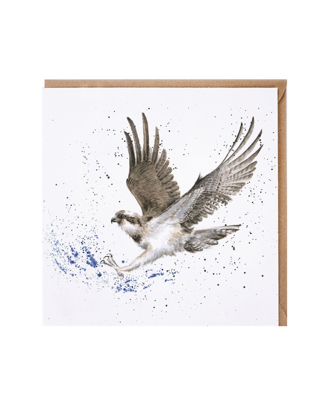 Vogel Grußkarte "Gone Fishing" von Wrendale Designs vor weißen Hintergrund. Das Motiv zeigt einen Vogel auf jagt welcher mit seinen Klauen ins Wasser greift.