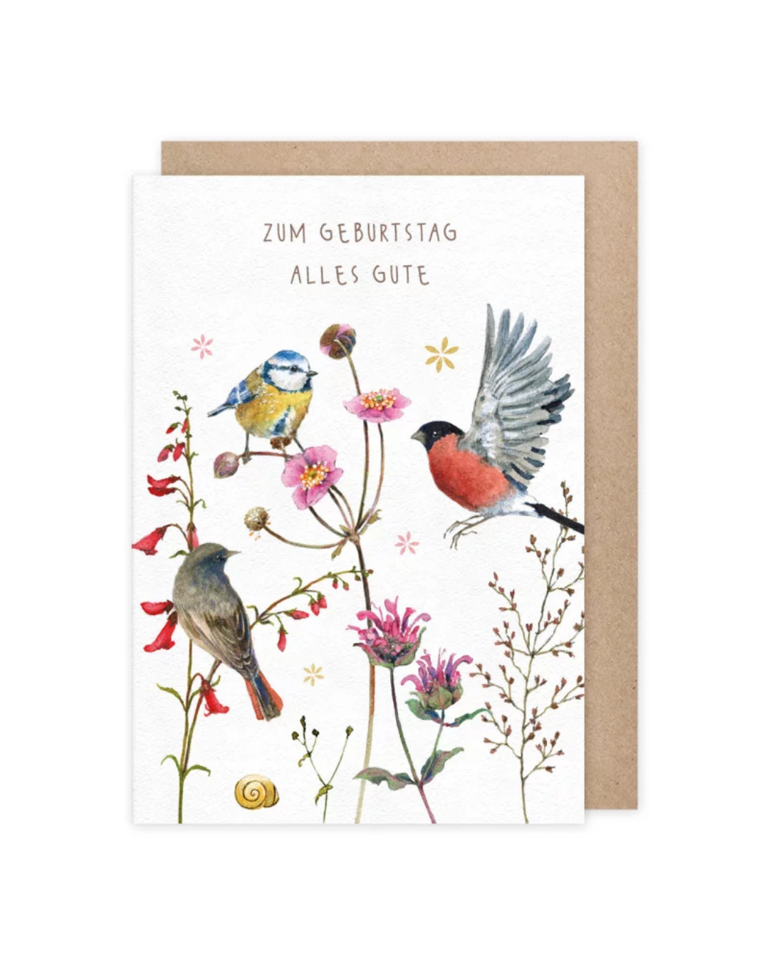 Die Grußkarte "Zum Geburtstag Alles Gute" vom Grätz Verlag zeigt verschiedene Singvögel und bunte Blumen illustriert von Daniela Drescher. Hausrotschwanz, Blaumeise und Dompfaff flattern und sitzen zwischen bunten Halmen, Blüten und Gräsern. Ein Schneckenhaus ist ebenfalls unten im Bild zu sehen. "Zum Geburtstag alles Gute" steht im oberen Bildzentrum.