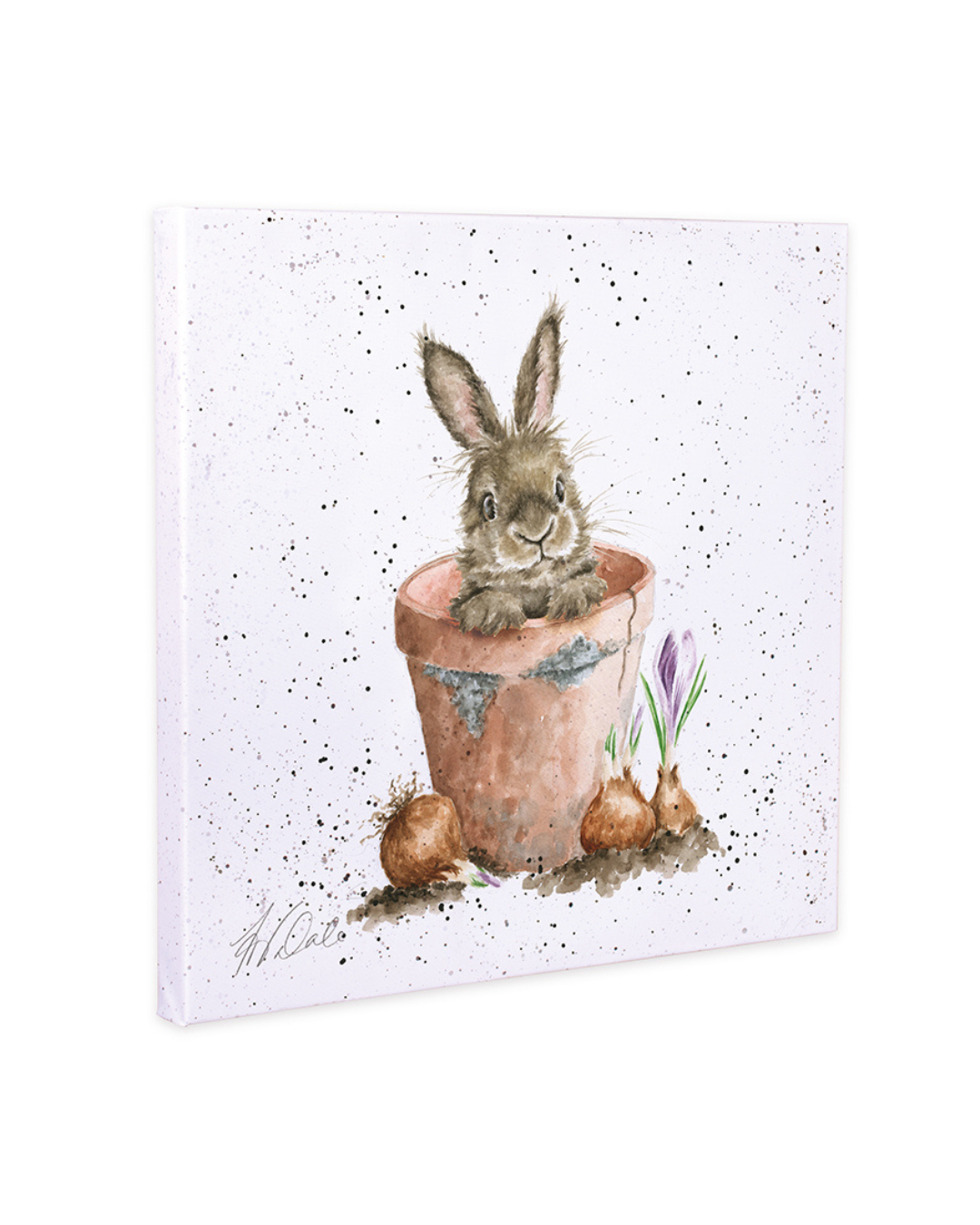 Die Leinwand „The Flower Pot“ von Wrendale Designs zeigt einen Hasen, der aus einem terrakottafarbenen Blumentopf blickt, umgeben von Blumenzwiebeln und zarten Frühlingsblüten auf hellem Hintergrund.