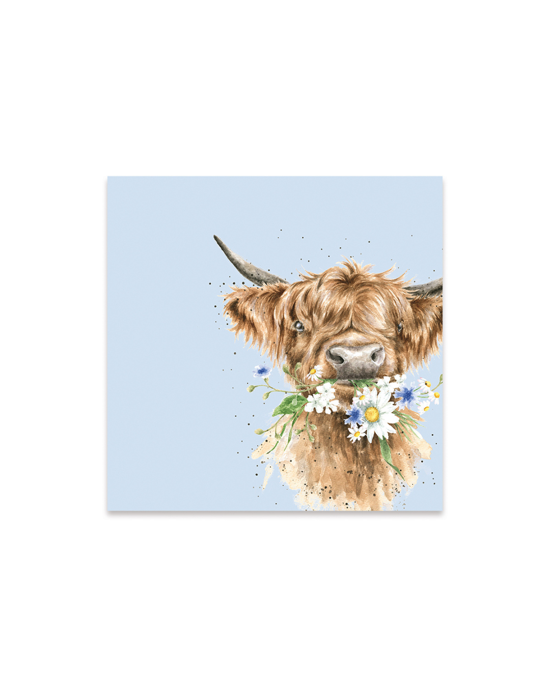 Cocktailservietten Daisy Coo von Wrendale Designs mit Hochlandkuh und Blumen im Maul auf blauem Hintergrund, Illustration von Hannah Dale