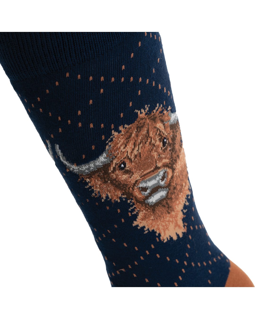 Detailansicht der Hochlandkuh-Illustration auf den Männersocken „Gordon“ von Wrendale Designs